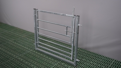 Gate with frame