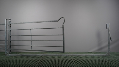 Schwing- und Schiebetor 3,0 x 0,9 m
