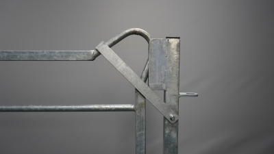 Schwing- und Schiebetor 3,0 x 0,9 m