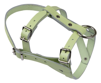Halfter Leder mehrfach verstellbar