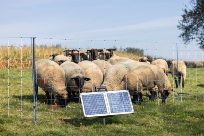 AKO Sun Power S 2400 smart 12V Komplettgerät 3,2Joule