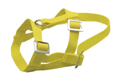 Halter for rams