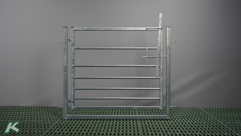 Gate with frame