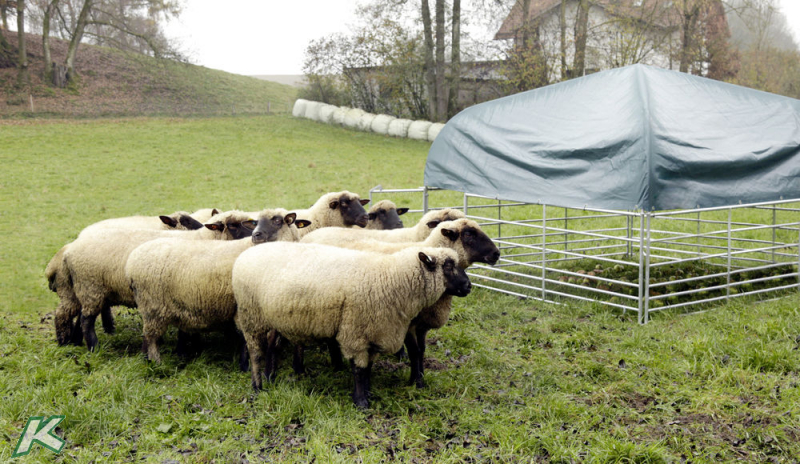 Weideunterstand Komplettset für Schafe und Ziegen